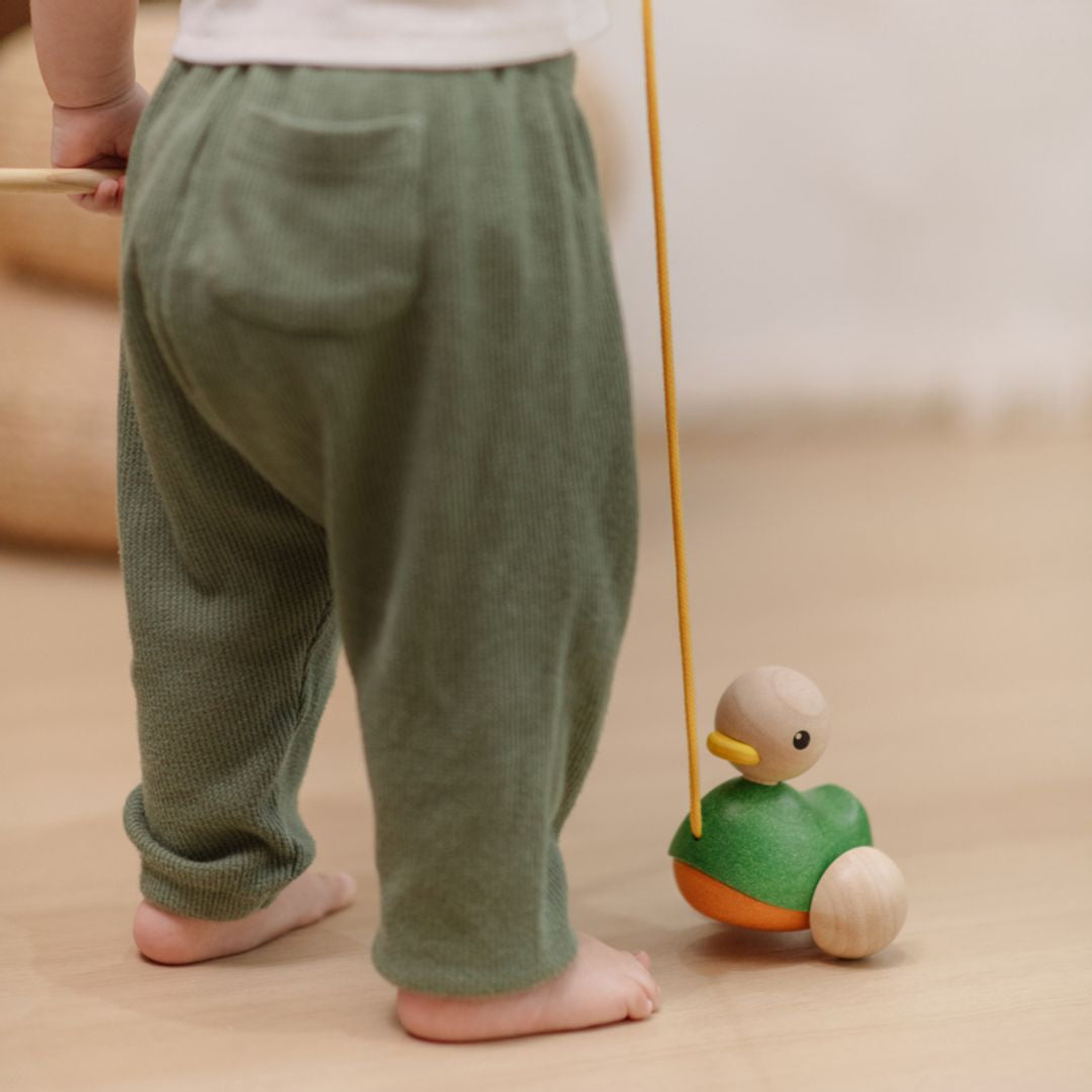 Pull-Along Duck