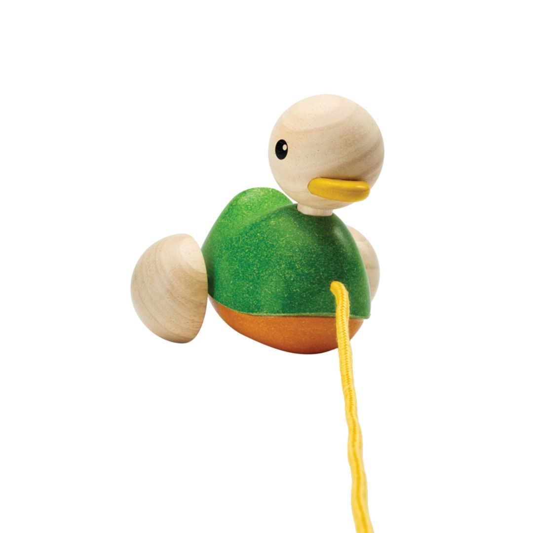 Pull-Along Duck